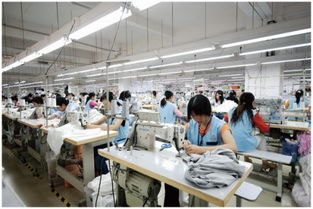 越南6月份服裝及紡織生產穩步增長，金屬材料銷售表現穩健